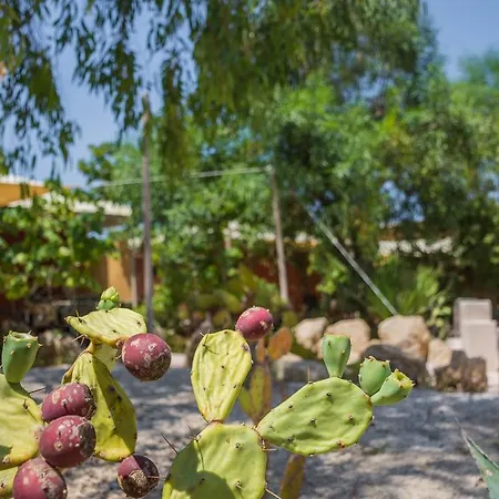 Torre Sabea Campsite