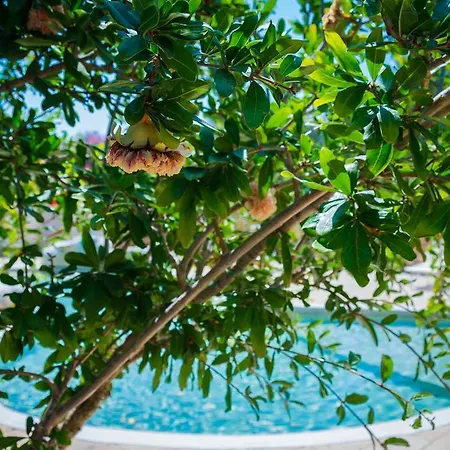 مكان تخييم Torre Sabea 3*