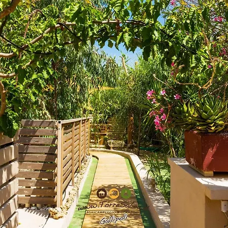 אתר קמפינג Torre Sabea