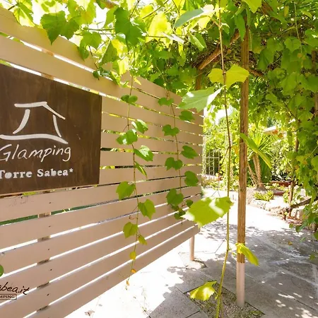 Torre Sabea אתר קמפינג