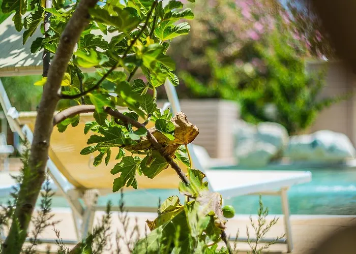 托雷尚贝雅露营地 营地 加利波利