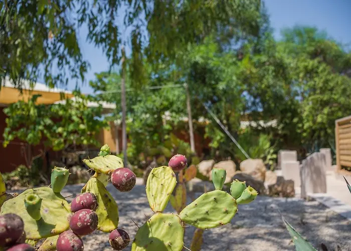 托雷尚贝雅露营地 营地