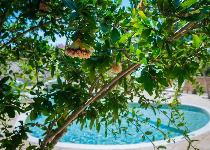 营地 托雷尚贝雅露营地 3*