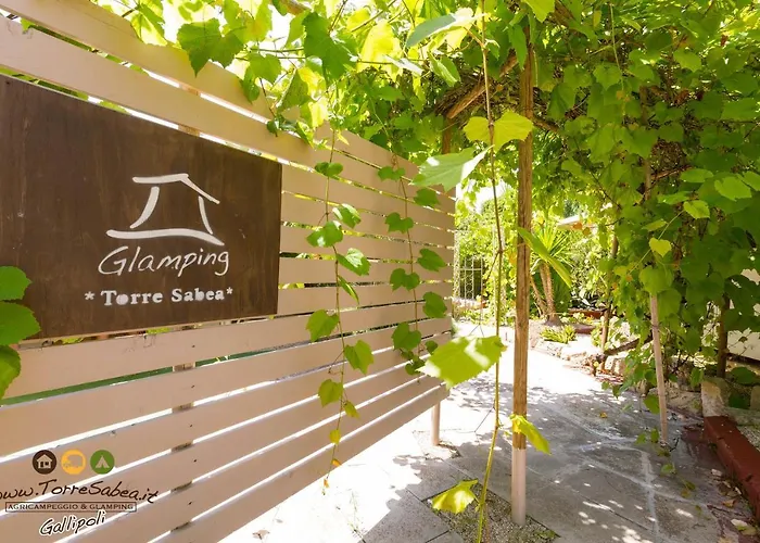 托雷尚贝雅露营地 营地